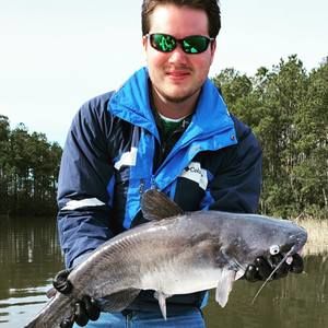 Meet your Posher, Logan